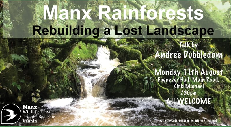 Manx Rainforests - Rebuilding a Lost Landscape