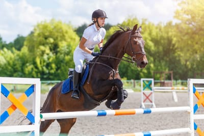 Hypermobility in Animals: More Than Flexible Joints