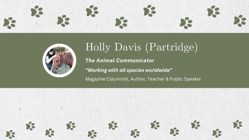 YouTube Channel thumbnail