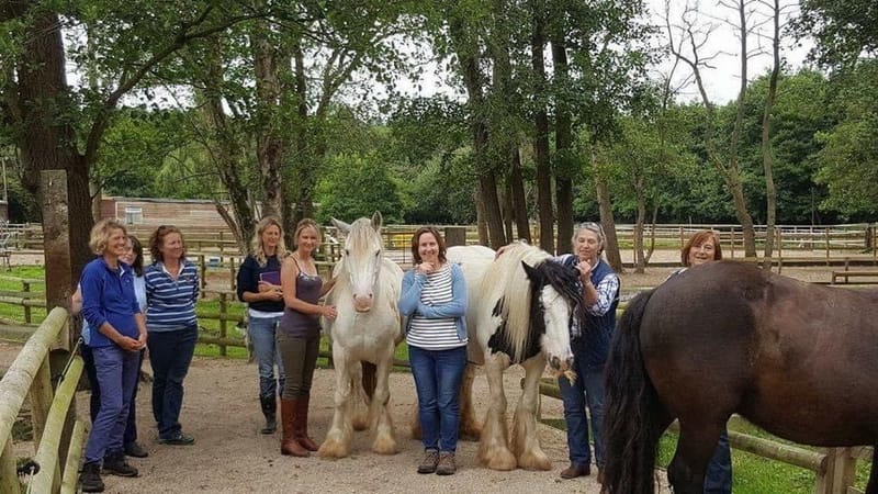 AC Training for Existing Animal Communicators