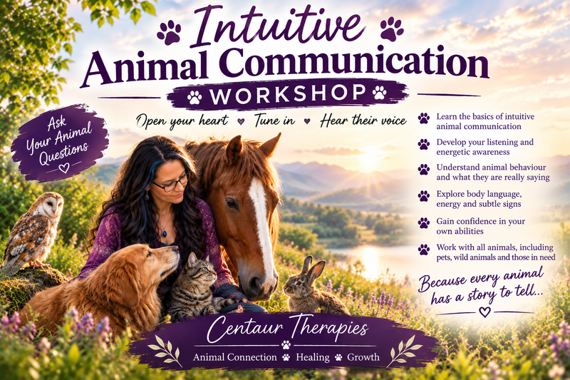 Animal Communication Online Workshop