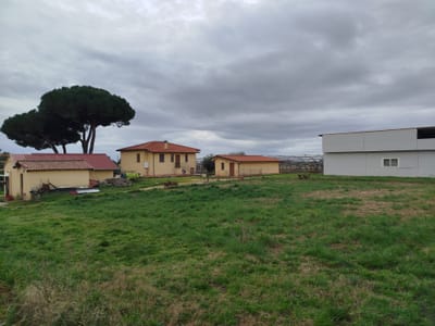 GENZANO - Via Vigne Nuove