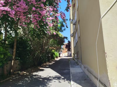 APPIO LATINO – Via Segesta