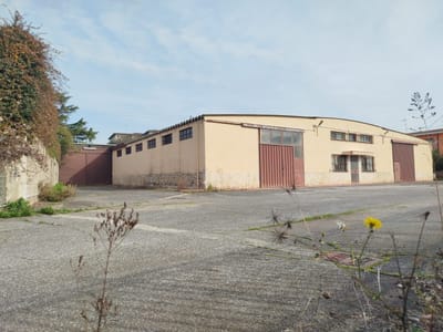 Vendita Capannone in vendita in Via dei Noccioli 1A Cecchina, Albano Laziale