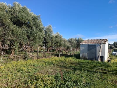 MARINO - Via dei Ceraseti s.n.c.