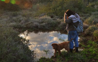 היכן המפתח לגן הנעול שלך ? והיכן הגן ?
