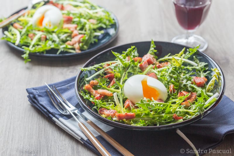 Salade de pissenlits