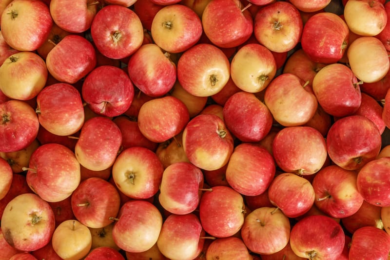 Mendiant aux pommes