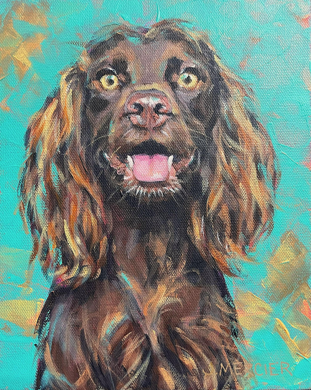 Toffee - Cocker Spaniel