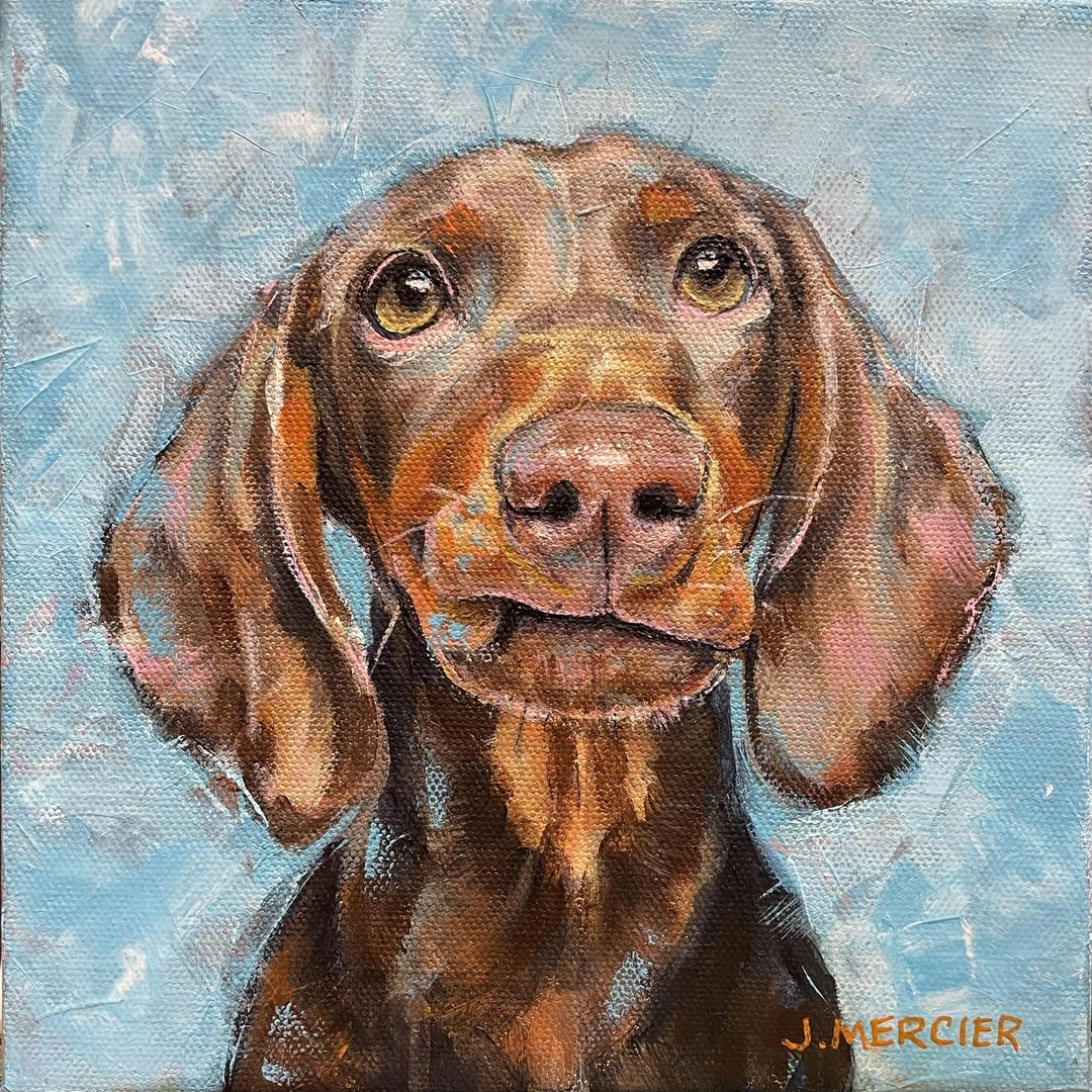 Möhre - Dachshund