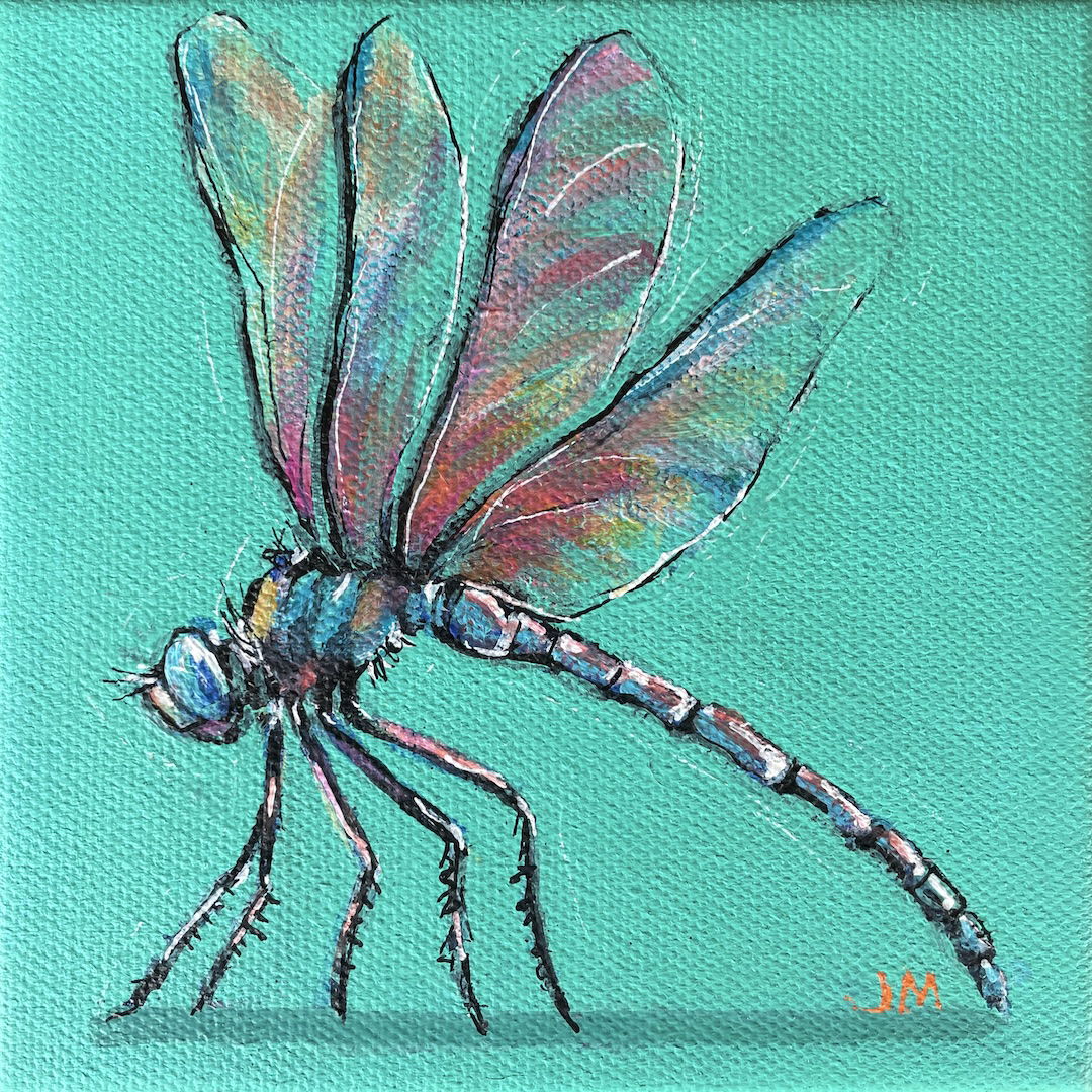 Winged Beauty