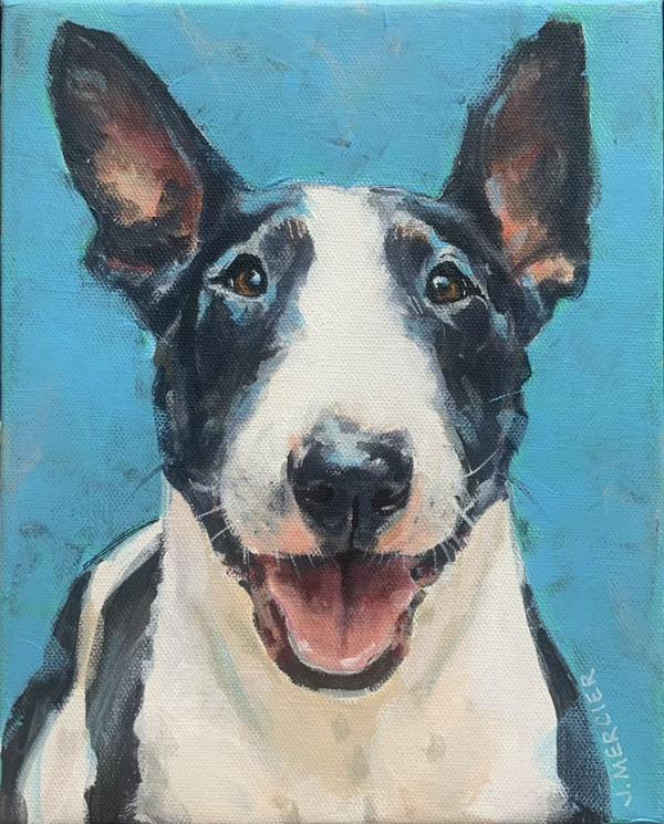Meatball - Bull Terrier