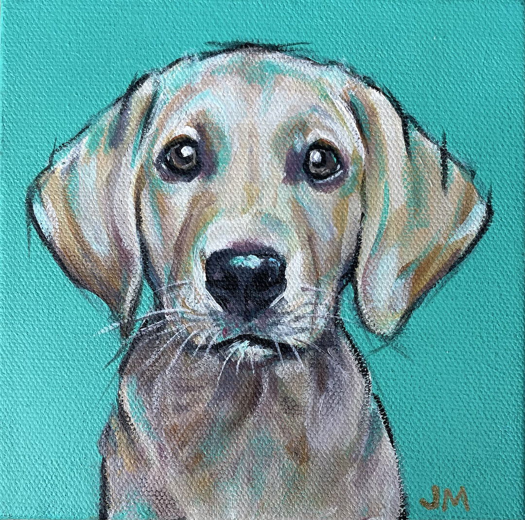 Ansgar - Yellow Lab