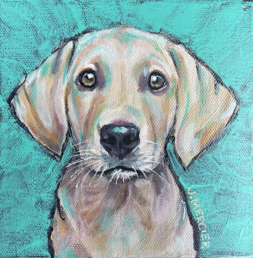 Ansgar - Yellow Lab