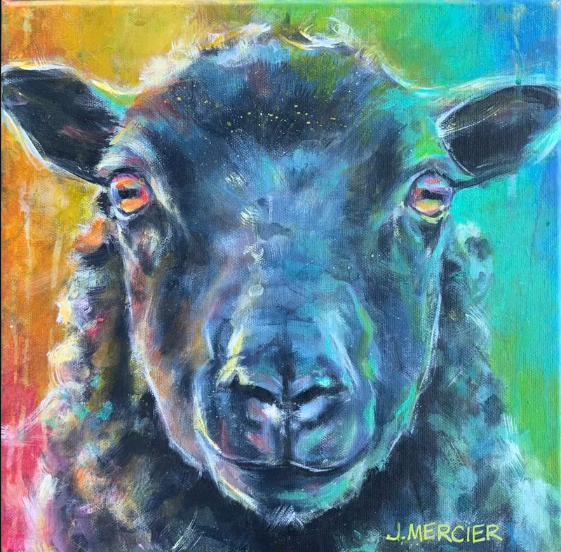 Dogs, cats and other precious animals