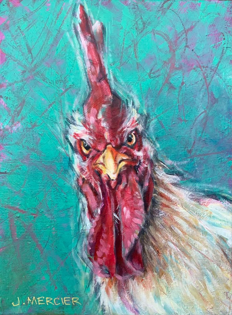 Dogs, cats and other precious animals