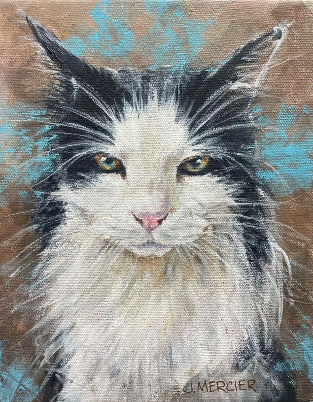 Dogs, cats and other precious animals