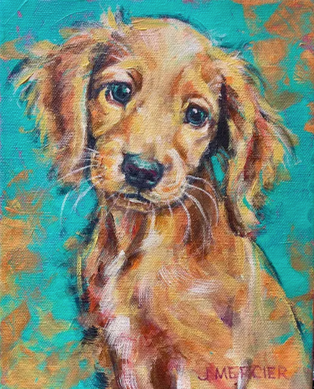 Dogs, cats and other precious animals