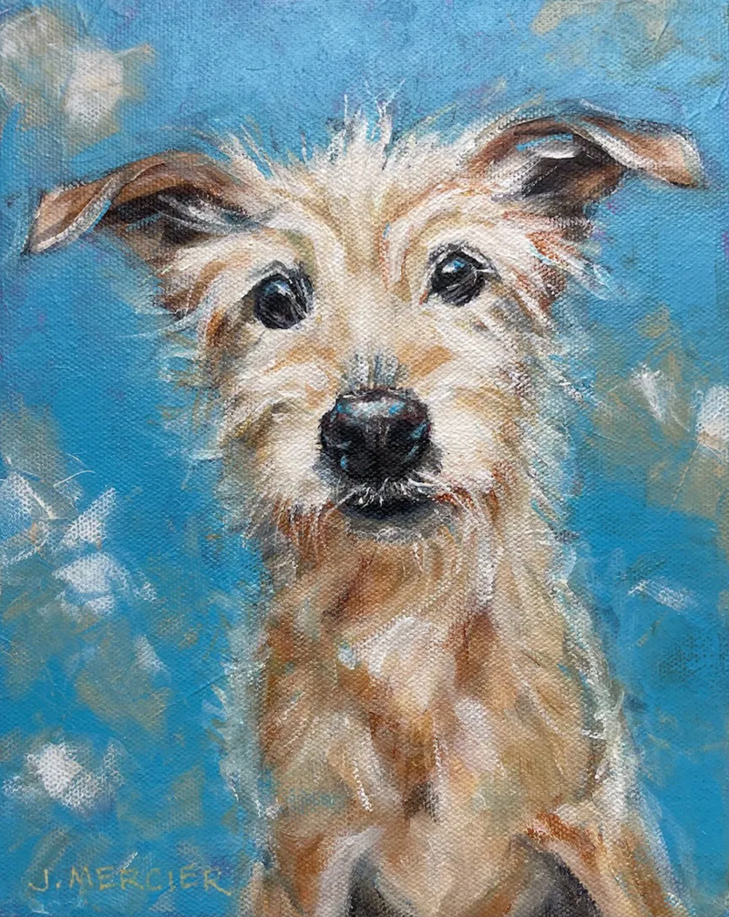 Dogs, cats and other precious animals