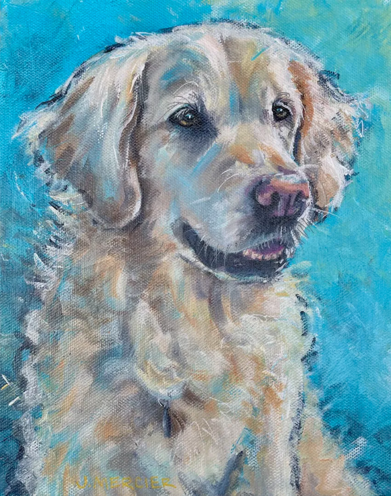 Dogs, cats and other precious animals