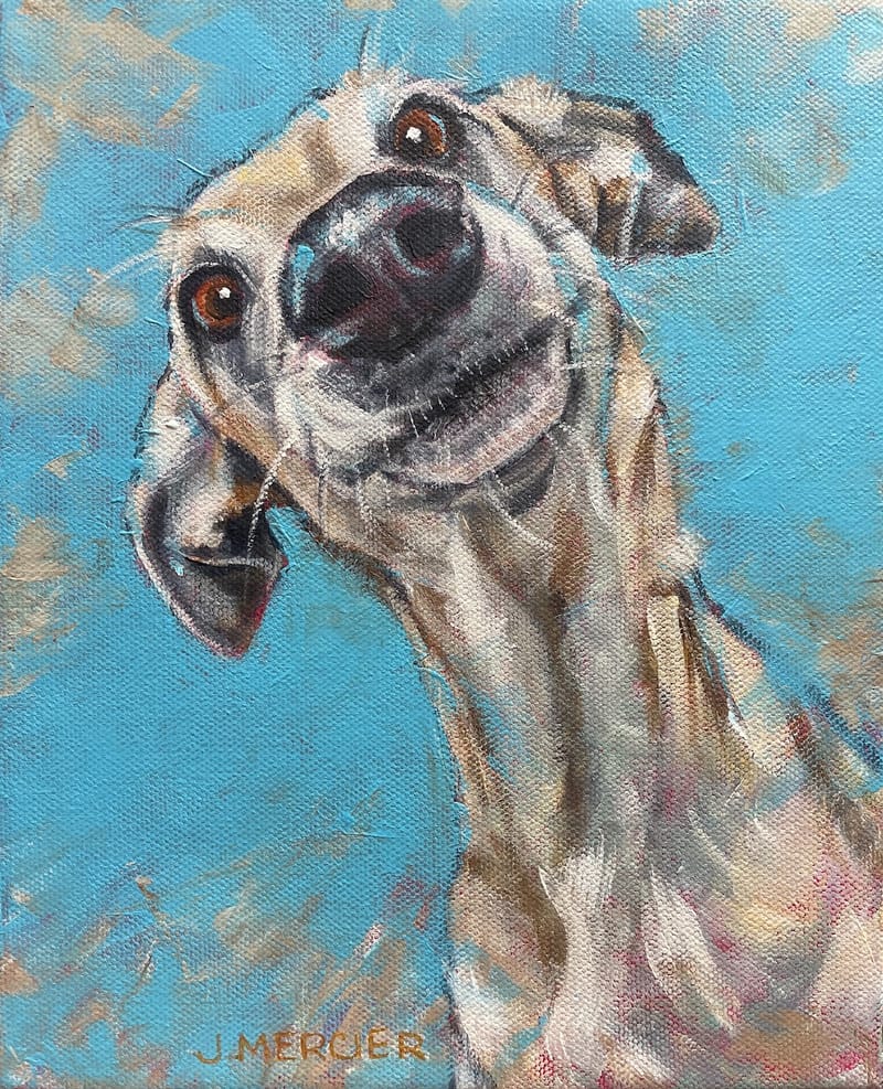 Dogs, cats and other precious animals