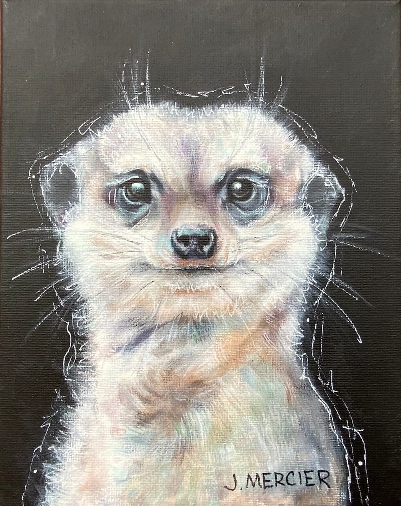 Dogs, cats and other precious animals