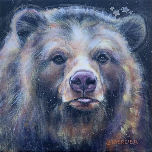 Dogs, cats and other precious animals