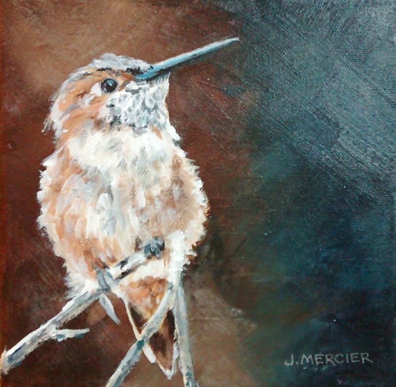 Dogs, cats and other precious animals