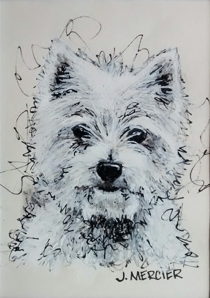 Dogs, cats and other precious animals