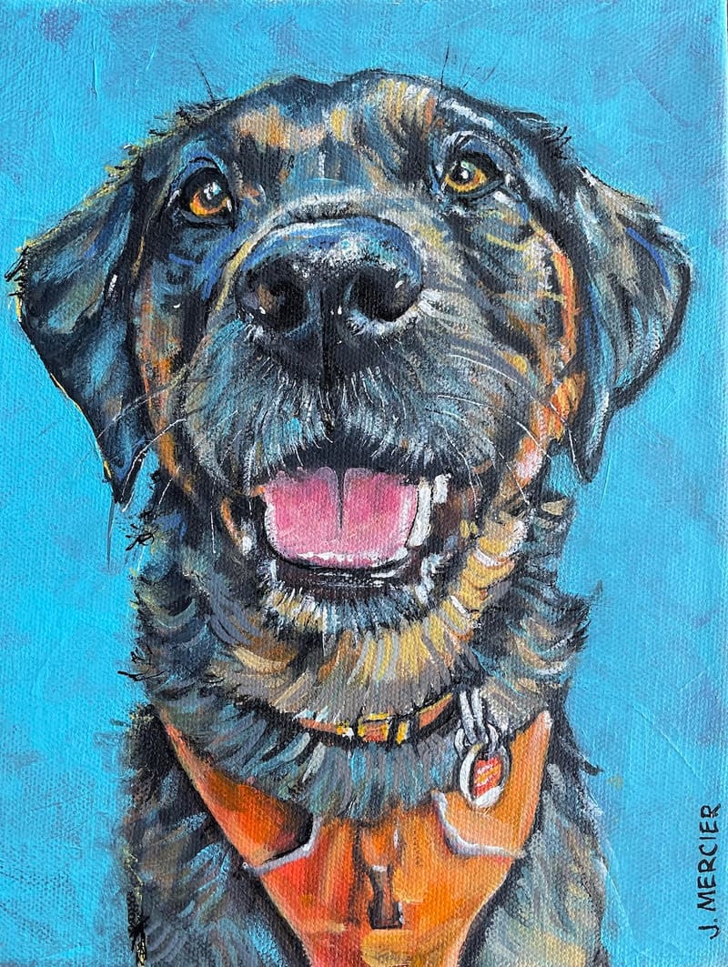 Dogs, cats and other precious animals