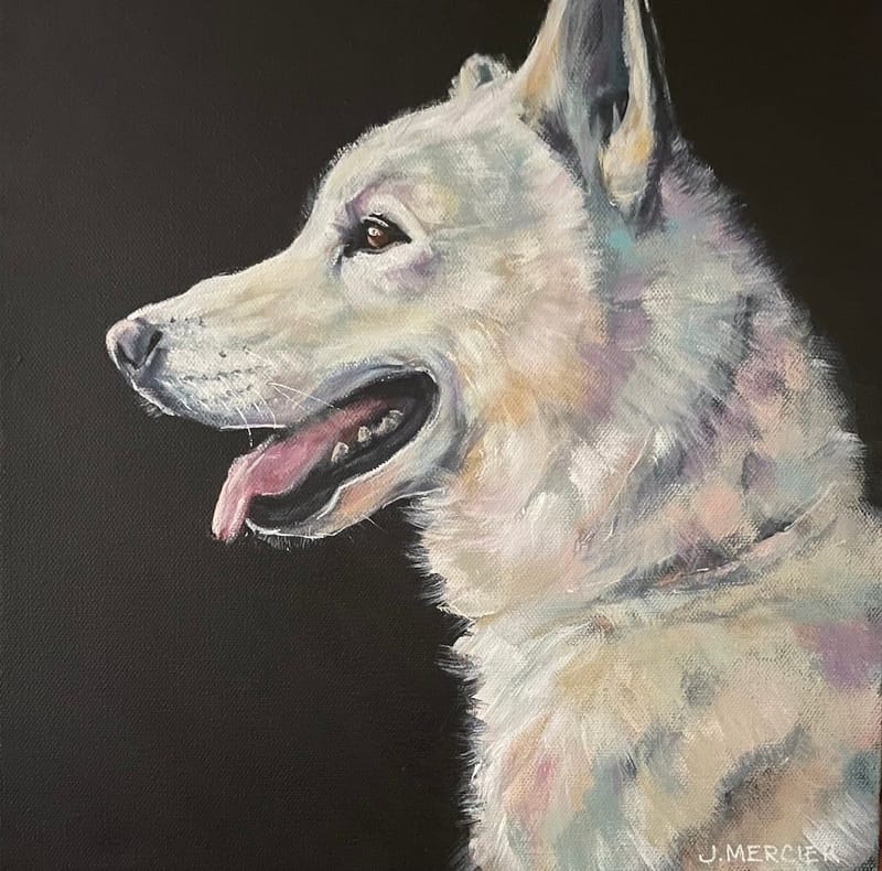 Dogs, cats and other precious animals