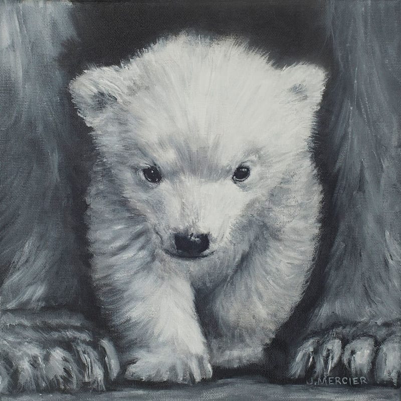 Dogs, cats and other precious animals