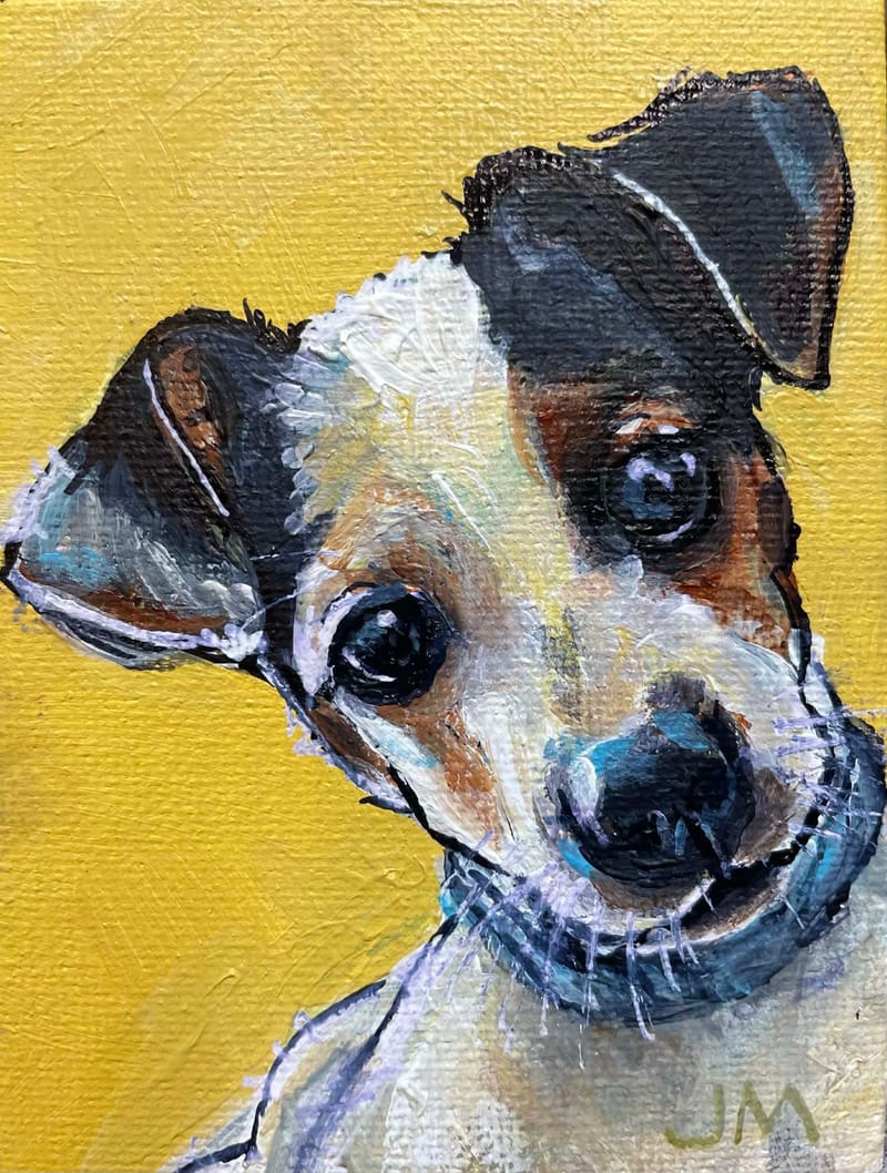 Dogs, cats and other precious animals