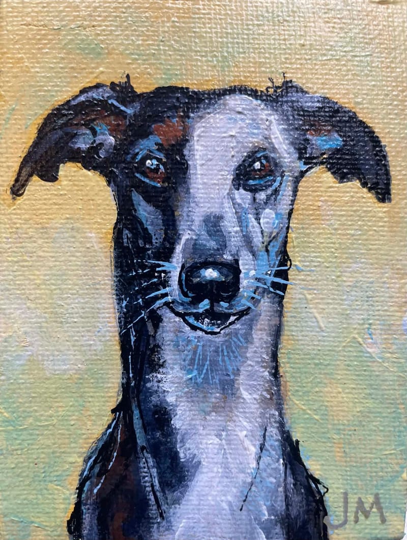 Dogs, cats and other precious animals