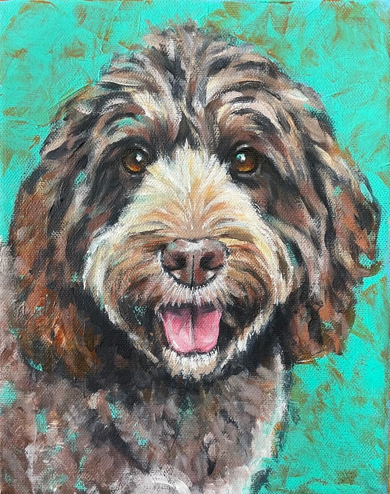 Dogs, cats and other precious animals