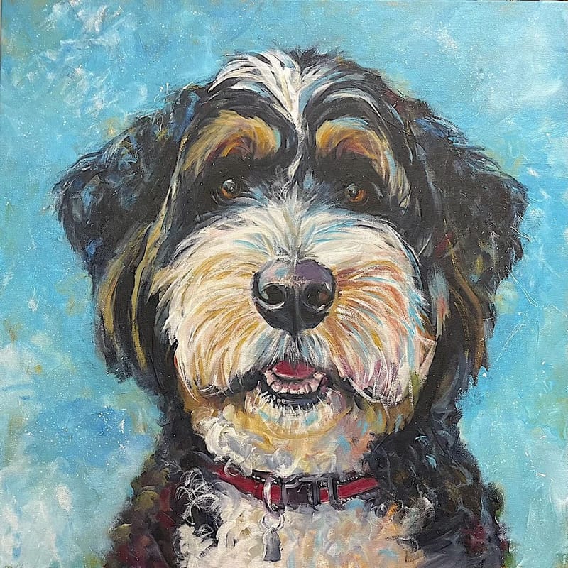 Dogs, cats and other precious animals