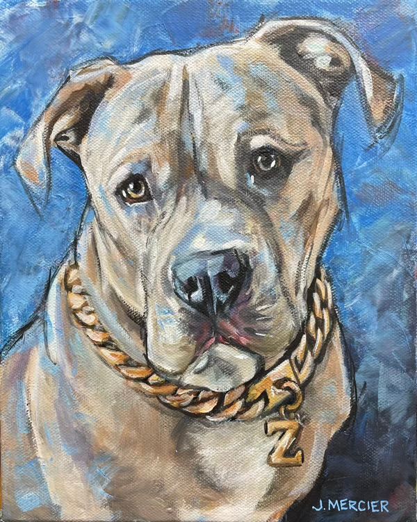 Dogs, cats and other precious animals