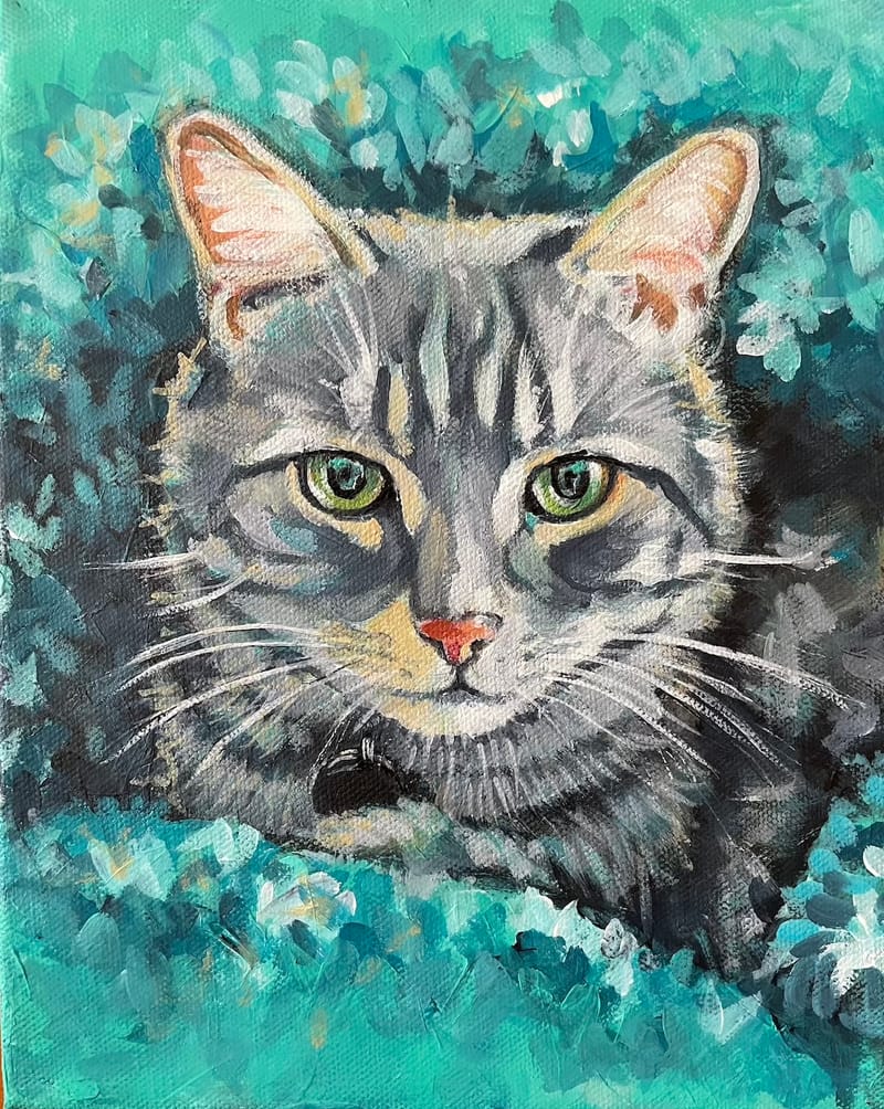 Dogs, cats and other precious animals