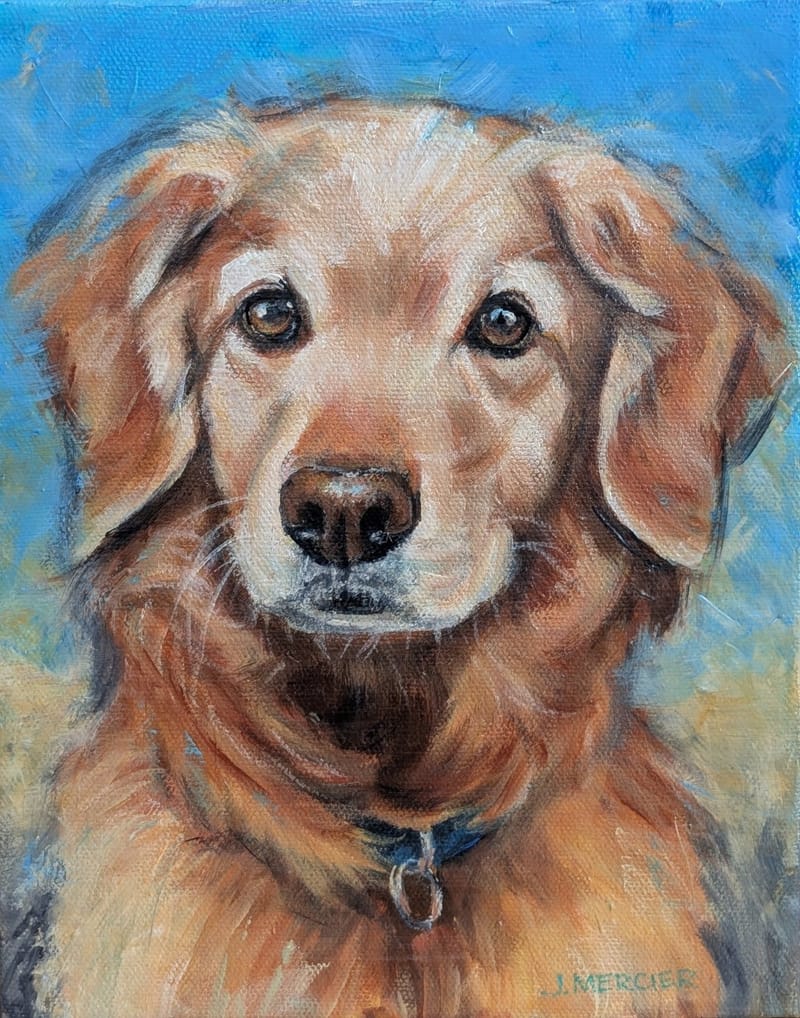 Dogs, cats and other precious animals