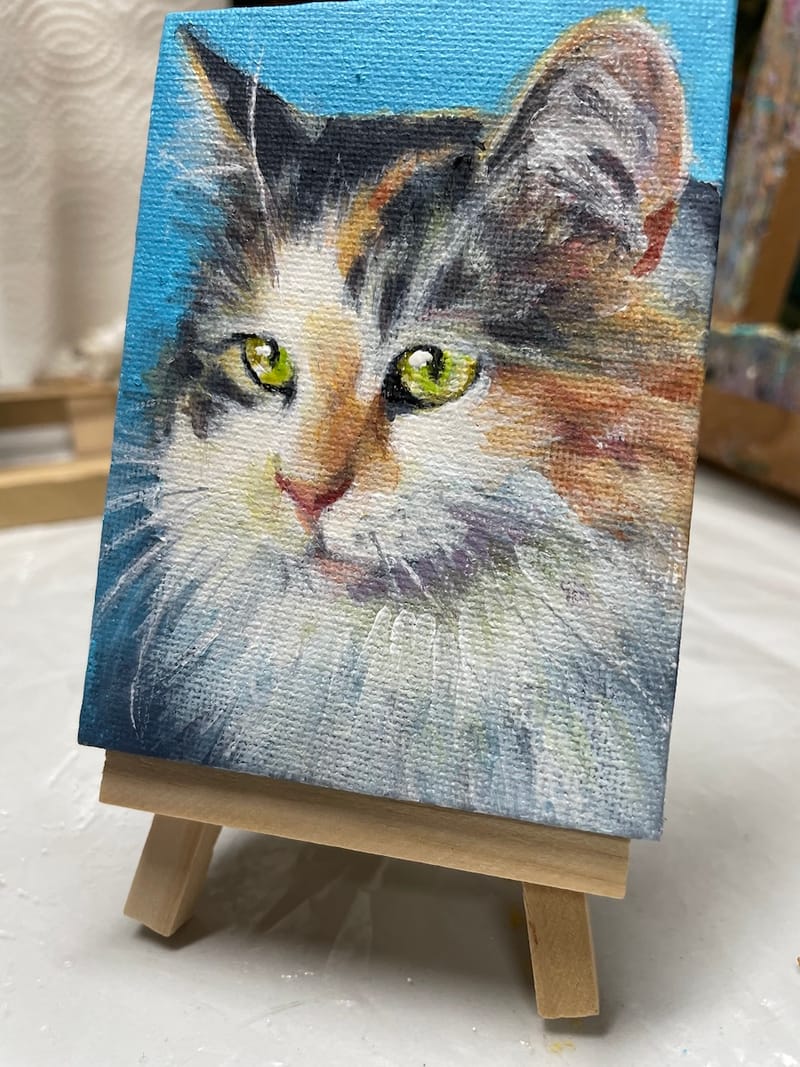 Dogs, cats and other precious animals
