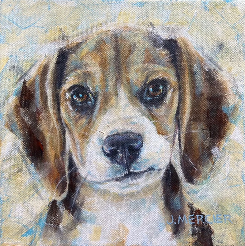 Dogs, cats and other precious animals