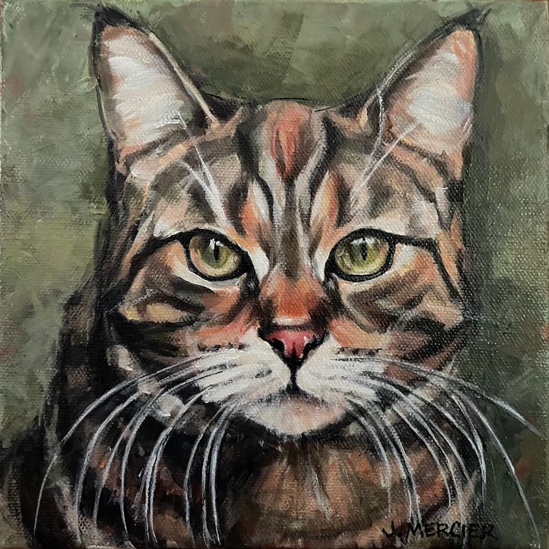 Dogs, cats and other precious animals