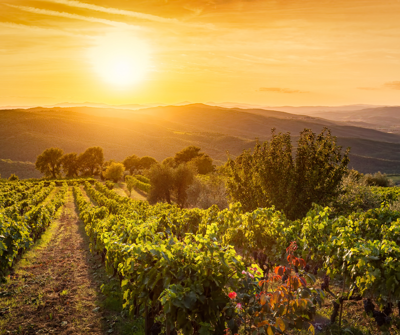 ПОД НЕБОМ ТОСКАНЫ