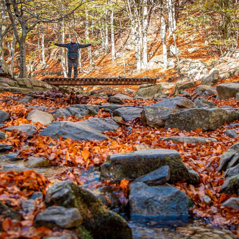 Потрясающие маршруты по Каталонии 6 дней (с 4 по 9 ноября)