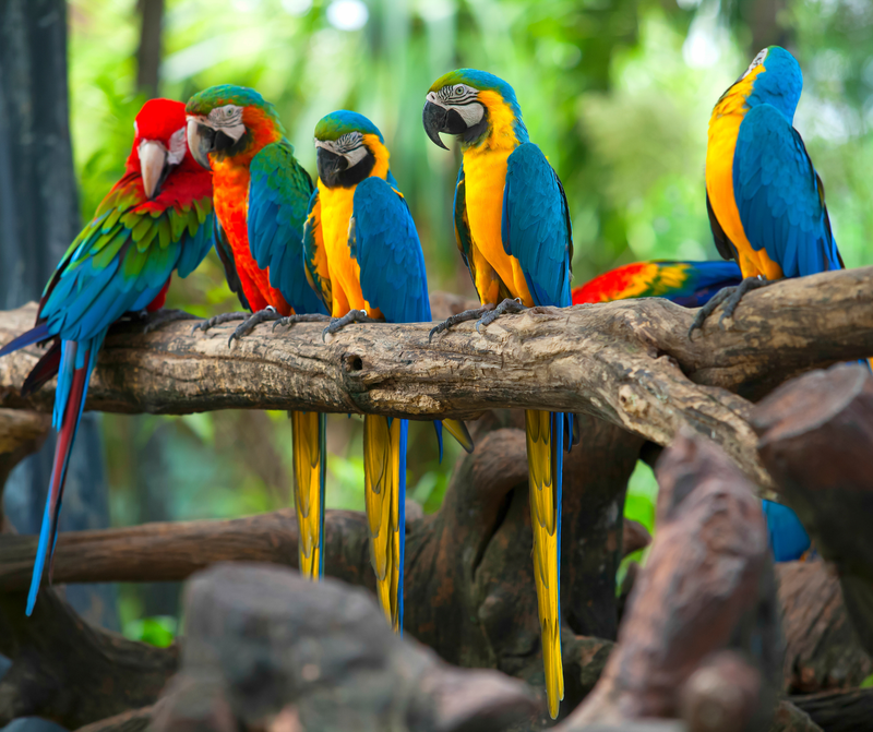 Библейский зоопарк и Аквариум в Иерусалиме -суббота .