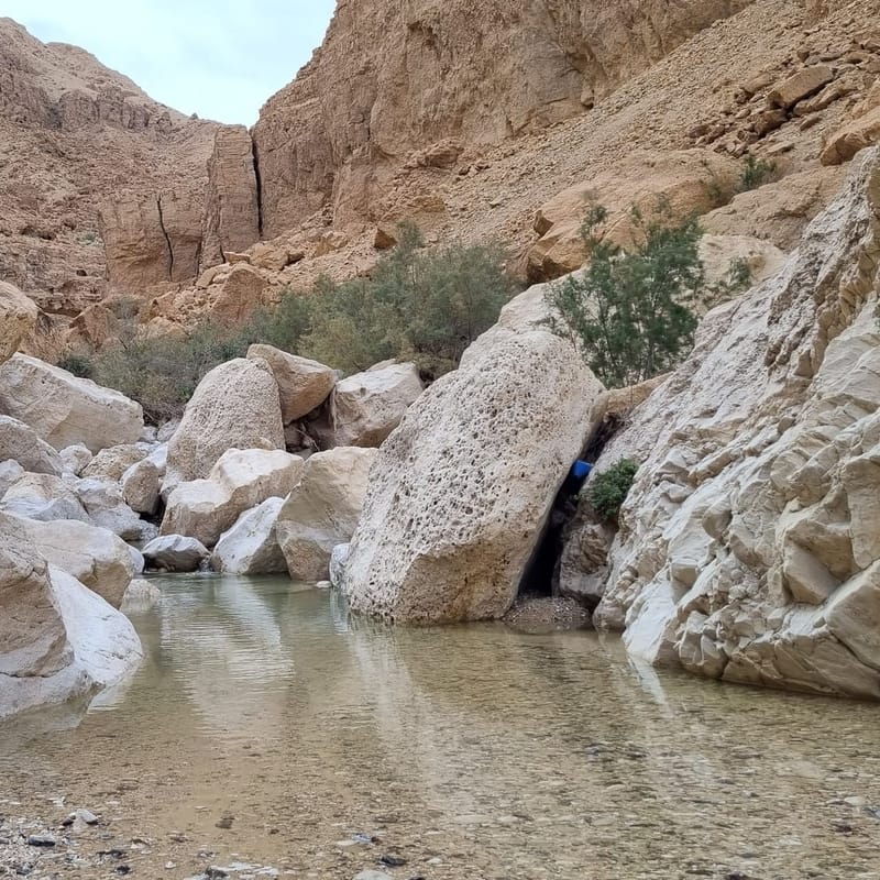 Нахаль Хеймар.Трек по самому большому ручью в Иудейской пустыни- 18 км