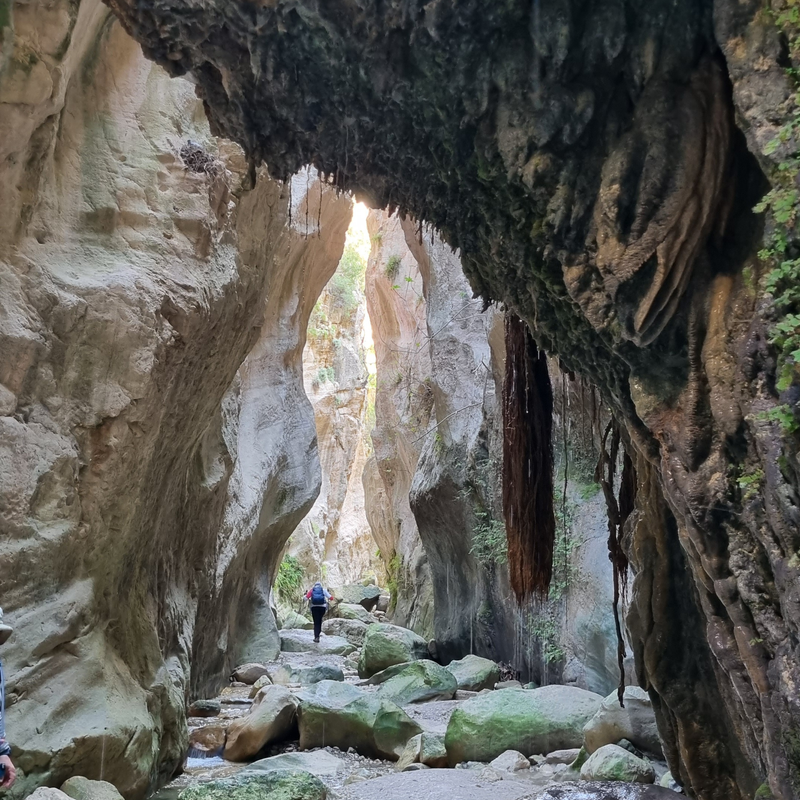 от Акамаса до Афродиты 4-х дневный трек-легкий.