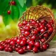 Нахаль Иудия и черешневые сады Голанских высот.