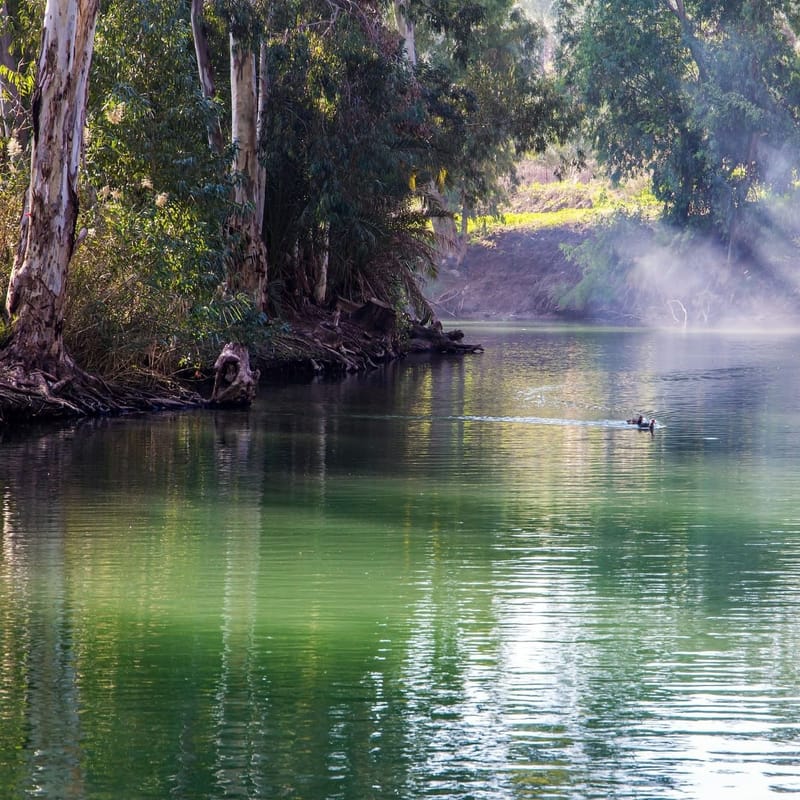 Гуляем по Голанам.Пеший водный маршрут по нахаль Снир (Хацбани). 8 км.