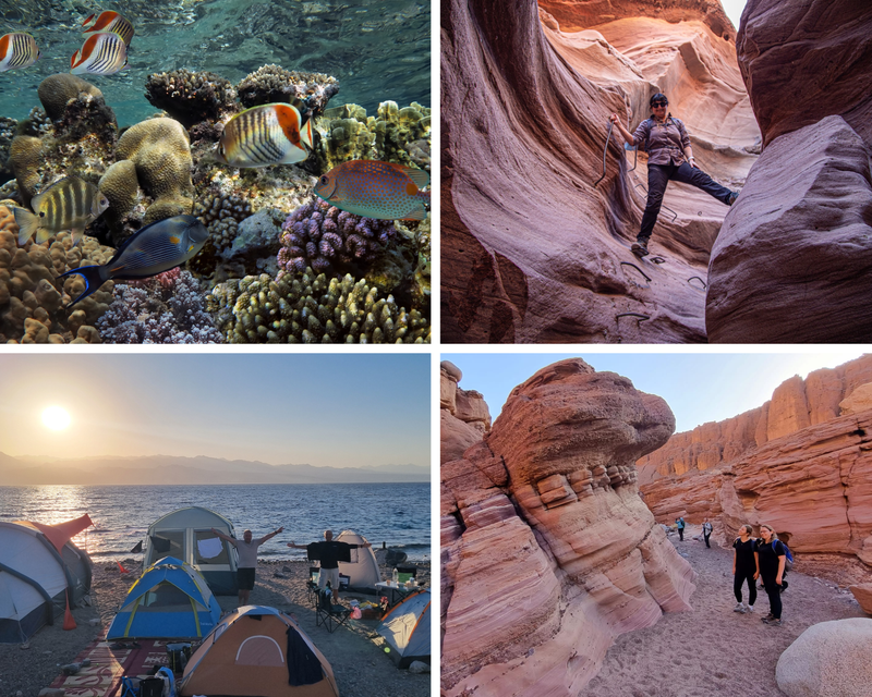 Красное Море: Звездные Ночи и Коралловые рифы- 3 дня - праздник Суккот.